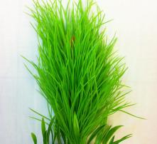 高清圖片中的農(nóng)副產(chǎn)品之美