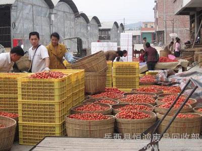 供應(yīng)恒鴻優(yōu)質(zhì)農(nóng)副產(chǎn)品批發(fā)——岳西縣恒鴻廢品回收部農(nóng)副產(chǎn)品業(yè)務(wù)介紹